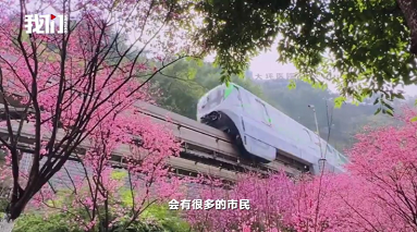 重庆“开往春天的网红列车”又发车了！浪漫氛围吸引众多游客打卡